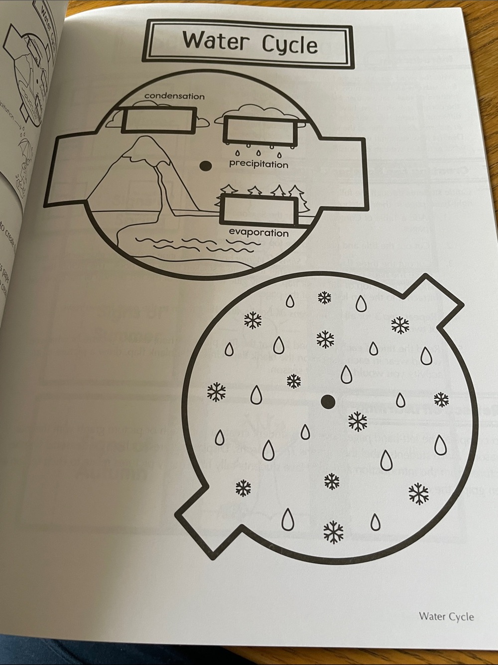 Interactive Notebooks Science Grade 1 NEW - Picture 13 of 13